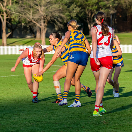 Rd 3 WPD - St George v Sydney Uni - 12 April 2025