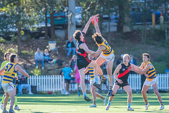 Rd 15 MPD - North Shore v Sydney Uni - 3 August 2024