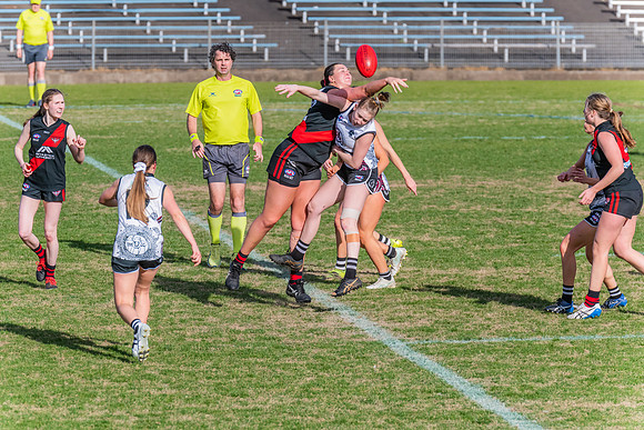 WPD Elimination Final - North Shore v Inner West - 7 August 2022