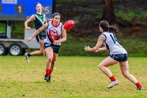 Rd 6 WPD - UTS v Pennant Hills - 11 May 2024