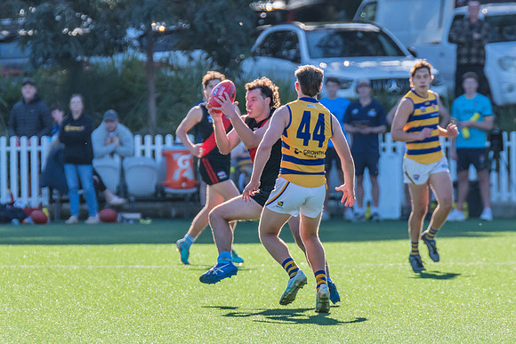 Rd 15 MPD - North Shore v Sydney Uni - 3 August 2024