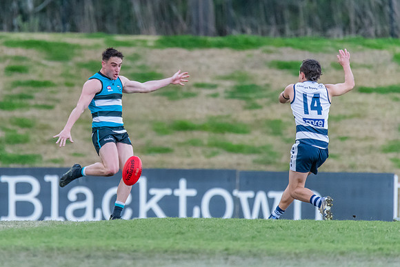 Platinum Div Preliminary Final - Southern Power v Camden Cats -