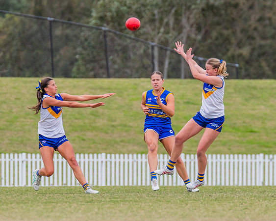 WPD Semi Final - Parramatta v Sydney Uni - 8 September 2024