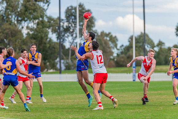 Rd 17 MPD - East Coast v St George - 17 August 2024