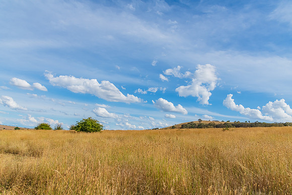 Late afternoon Summer views with clouds over the rural land