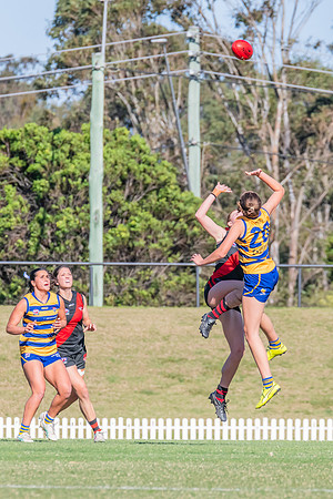 WPD Elimination Final - North Shore v Sydney Uni - 1 September 2