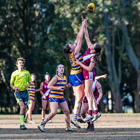 Rd 17 WPD - Manly Warringah v Sydney Uni - 16 August 2025