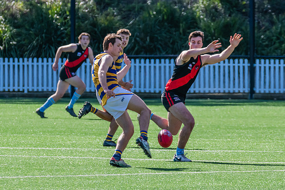 Rd 15 MPD - North Shore v Sydney Uni - 3 August 2024