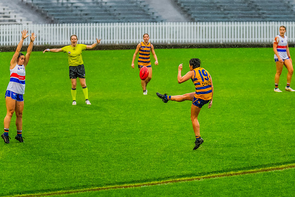 Rd 8 WPD - UNSW-ES v Sydney Uni - 1 June 2024