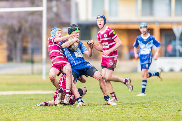 Rd 11 Blayney U13s v Bloomfield Tigers U13s - 2 August 2025