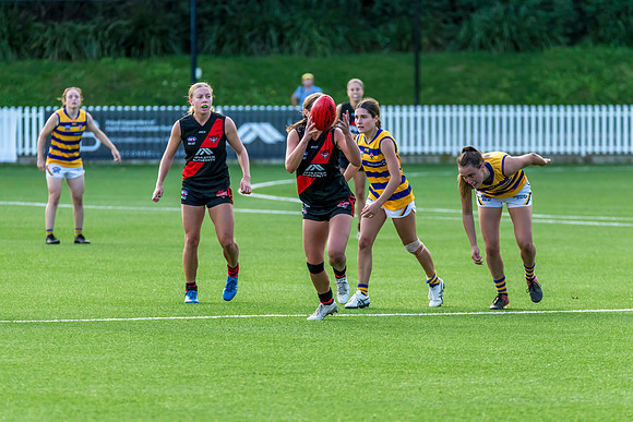 Rd 3 WPD - North Shore v Sydney Uni - 23 April 2022