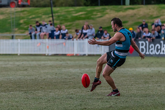 Platinum Div Preliminary Final - Southern Power v Camden Cats -