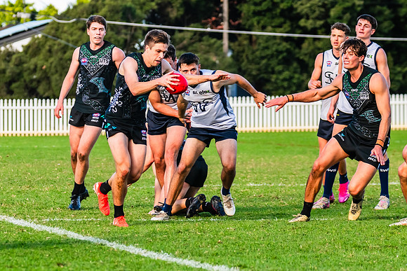 Rd 8 MPD - UTS v SWS - 31 May 2025