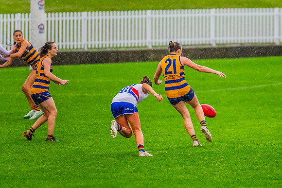Rd 8 WPD - UNSW-ES v Sydney Uni - 1 June 2024