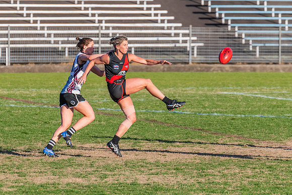 WPD Elimination Final - North Shore v Inner West - 7 August 2022