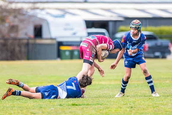 Rd 11 Blayney U13s v Bloomfield Tigers U13s - 2 August 2025