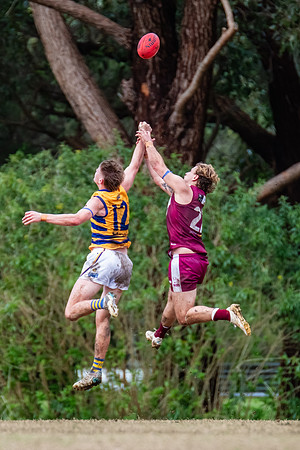 Rd 17 MPD - Manly Warringah v Sydney Uni - 16 August 2025