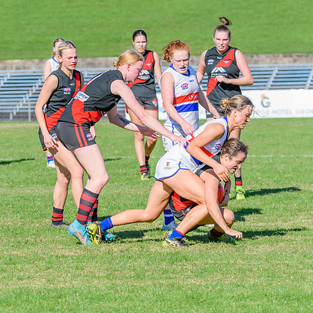 Rd 6 WPD - UNSW ES v North Shore - 14 May 2022
