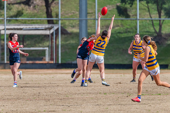 Rd 14 WPD - Pennant Hills v Sydney Uni - 16 July 2022