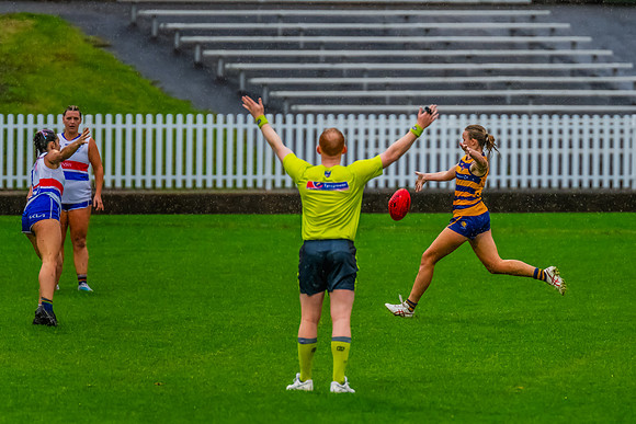 Rd 8 WPD - UNSW-ES v Sydney Uni - 1 June 2024