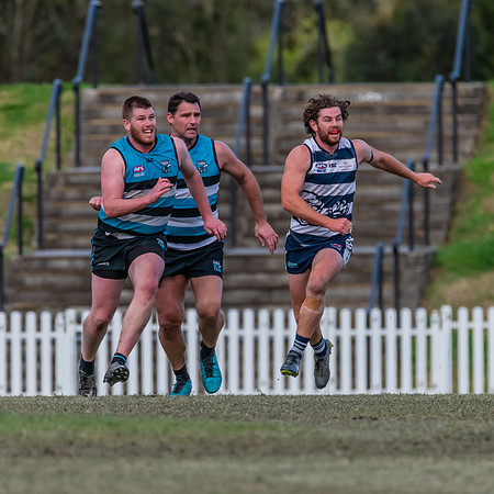 Platinum Div Preliminary Final - Southern Power v Camden Cats -