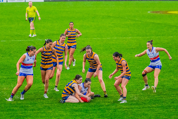 Rd 8 WPD - UNSW-ES v Sydney Uni - 1 June 2024