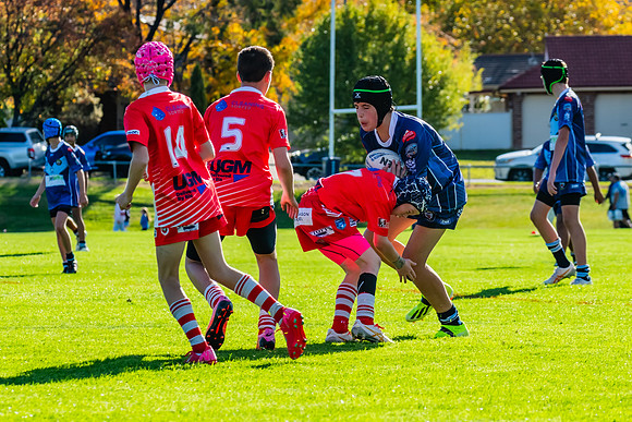 Rd 1 Bloomfield Tigers U13s v Mudgee U13s - 3 May 2025