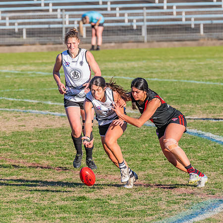 WPD Elimination Final - North Shore v Inner West - 7 August 2022