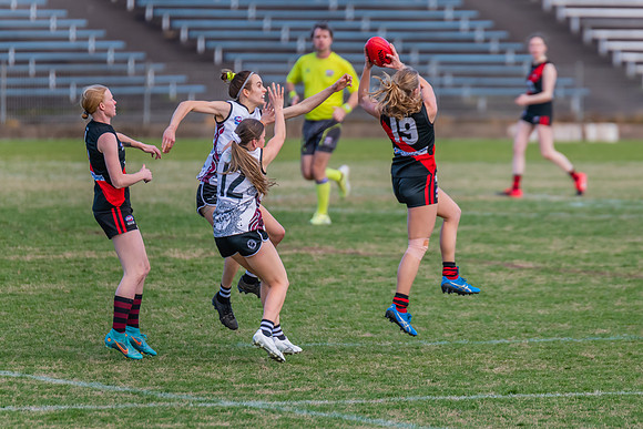 WPD Elimination Final - North Shore v Inner West - 7 August 2022
