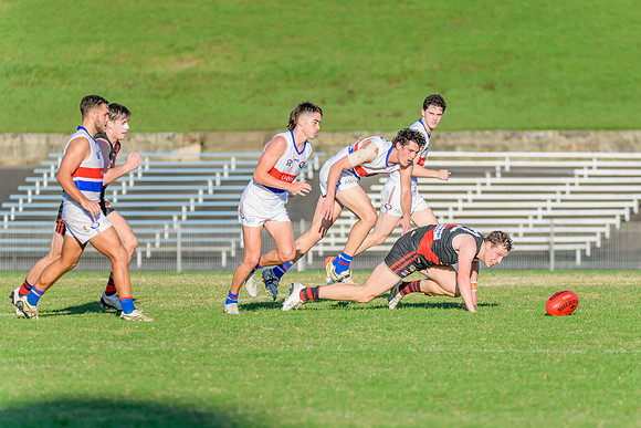 Rd 6 MPD - UNSW ES v North Shore - 14 May 2022