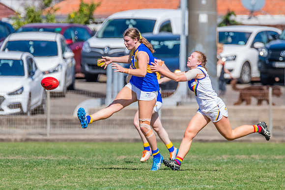 WPD Preliminary Final - East Coast v Sydney University - 21 Augu