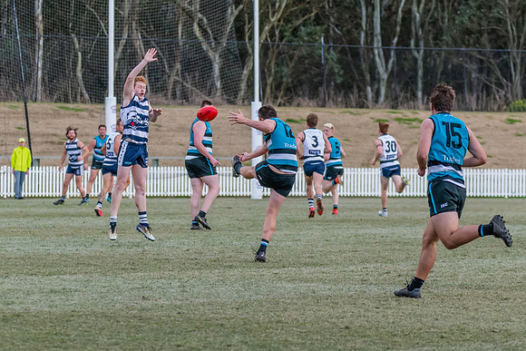 Platinum Div Preliminary Final - Southern Power v Camden Cats -