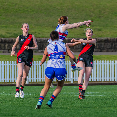 Rd 16 WPD - UNSW-ES v North Shore - 10 August 2024