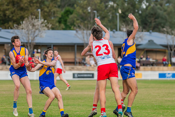 Rd 17 MPD - East Coast v St George - 17 August 2024