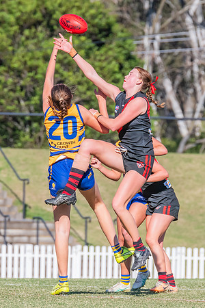 WPD Elimination Final - North Shore v Sydney Uni - 1 September 2