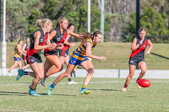 WPD Elimination Final - North Shore v Sydney Uni - 1 September 2