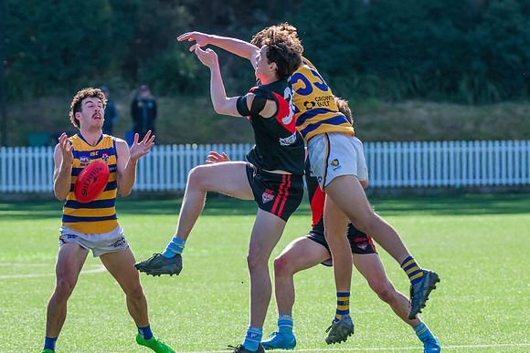 Rd 15 MPD - North Shore v Sydney Uni - 3 August 2024