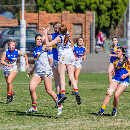WPD Preliminary Final - East Coast v Sydney University - 21 Augu