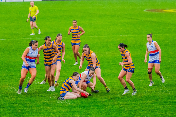 Rd 8 WPD - UNSW-ES v Sydney Uni - 1 June 2024