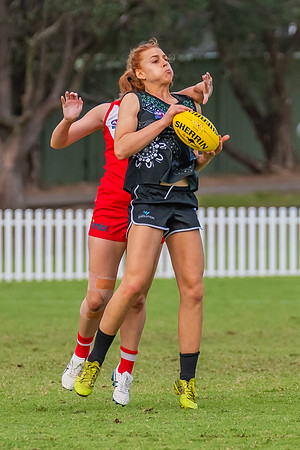 Rd 7 WPD - St George v UTS - 25 May 2024