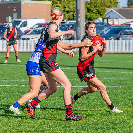 Rd 16 WPD - UNSW-ES v North Shore - 10 August 2024
