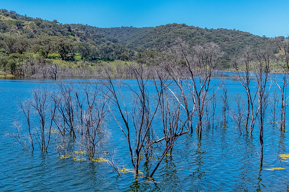 Summertime at Windamere Dam or Lake Windameere in Cudgegong clos