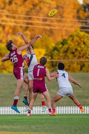 MPD Qualifying Final - Manly-Warringah v Pennant Hills - 31 Augu