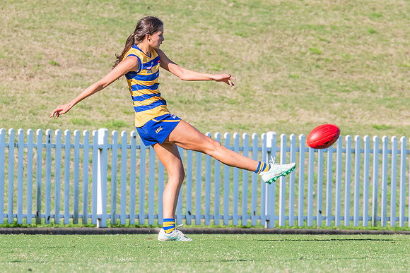 WPD Elimination Final - North Shore v Sydney Uni - 1 September 2