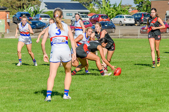 Rd 6 WPD - UNSW ES v North Shore - 14 May 2022