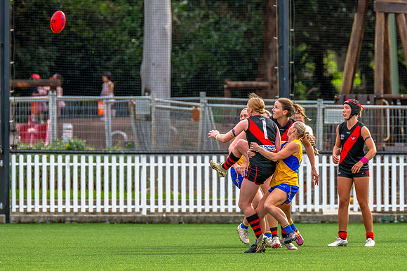 Rd 4 WPD - North Shore v East Coast - 26 April 2025