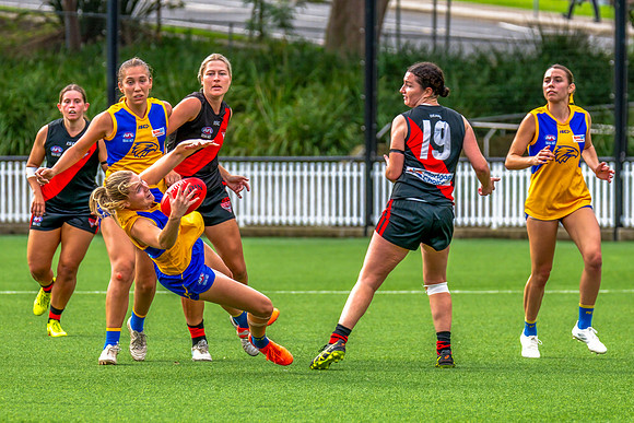 Rd 4 WPD - North Shore v East Coast - 26 April 2025