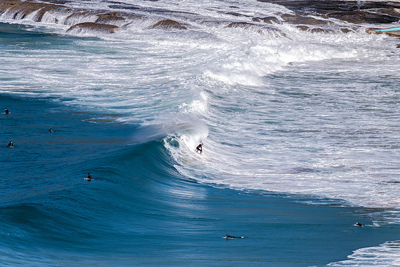 Waves and surfers  at Whale Beach