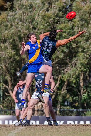 Black Diamond Plate Men's Nelson Bay v Newcastle City - 17 Septe