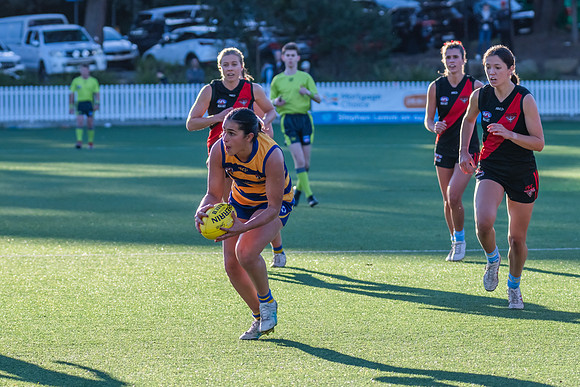 Rd 15 WPD - North Shore v Sydney Uni - 3 August 2024
